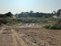 Terreno Rural com 347,7334 ha em Papanduva