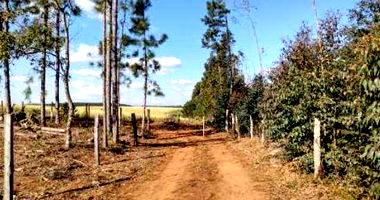 Terreno Rural de 4ha em Guarapuava/PR