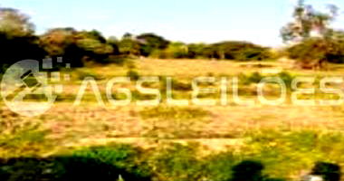Terreno amplo de 11.364,50m² em Sarapuí - Oportunidade!