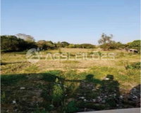 Terreno amplo de 11.364,50m² em Sarapuí - Oportunidade!