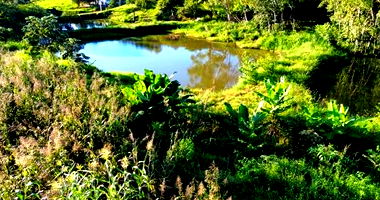 Lote Rural com 6.909m² Desocupado em Salto do Lontra/PR