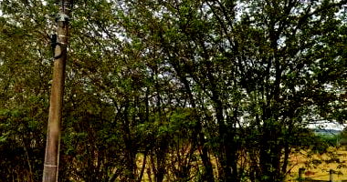 50% de Terreno 3,78 ha - Parte Ideal - Residencial Avaré I