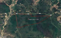 Imóvel Rural sem benfeitorias, 440 hectares