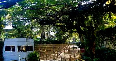 Terreno com 433m² na Rua Professor Mikan, São Conrado