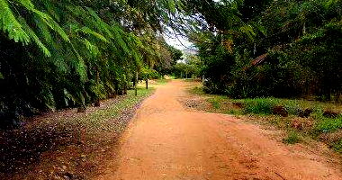 Terreno com Benfeitorias em Bauru - 5.005,20m²