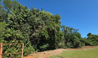 Lote urbano de 600m² em Nova Prata do Iguaçu/PR