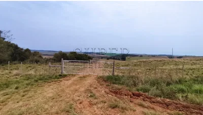 Fração de Campos e Matos com 47,82 Hectares