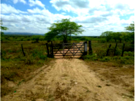 Sítio com 50 hectares, barragem e curral