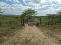 Sítio com 50 hectares, barragem e curral