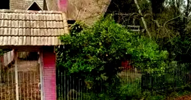 Casa Ocupada com Amplo Terreno em Leilão