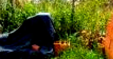 Terreno em Cotia/SP com 340m²