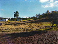 Terreno urbano 372m² em Frederico Westphalen - RS