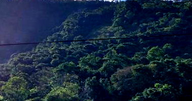 Chácara de 10,81 hectares com nascente em Mutum/MG