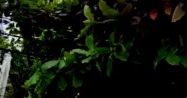 Apartamento com 2 vagas em leilão - Freguesia do Ó, São Paulo