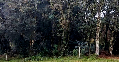 Terreno em Engenho Velho RS