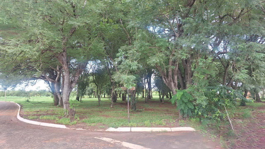 Terreno 986,32m² em Planura/MG - Ideal para Lazer ou Investimento