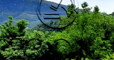 Área Rural de 6 Hectares em Arroio dos Tigres/RS