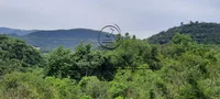 Área Rural de 6 Hectares em Arroio dos Tigres/RS