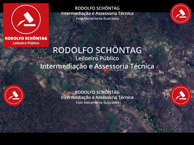 Terreno Rural 3000 ha em ótimo estado para investimento