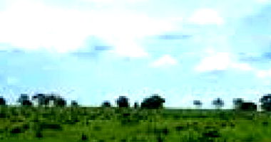 Fazenda Três Irmãos com 244.14 Hectares em Itapiratins - TO