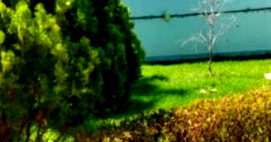 Casa com 3 quartos, 200m² construídos e piscina em lote de 600m²