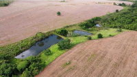 Imóvel Rural com 14,52 hectares em Gameleira de Goiás