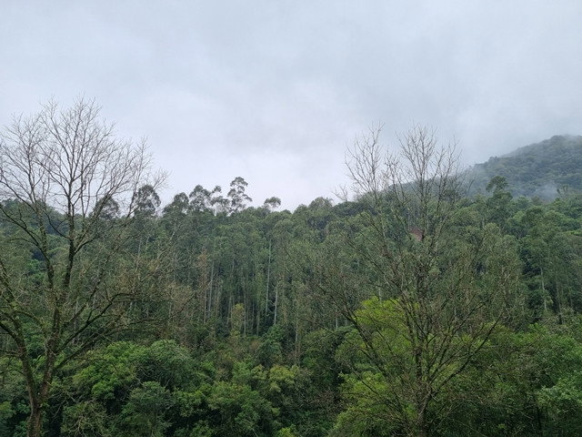 Chácara com 3.63 hectares em Marques de Souza/RS