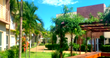 Conjunto Comercial em Campinas - Jd. Sta. Genebra