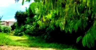 Terreno Institucional com Área de 1.363,21m²