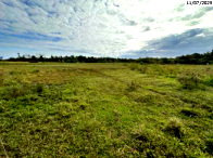 50% de Fazenda com 98 hectares, área rural ampla e benfeitorias