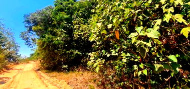 Fazenda Santa Amália com 2.481,67 hectares na Zona Rural
