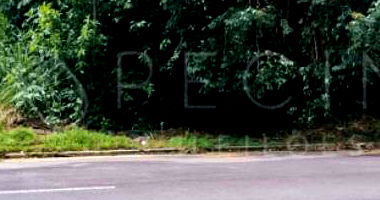 Terreno em Loteamento Villa Suíça - 250m²