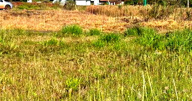 Terreno urbano 254m² no Jardim Floresta, pronto para construir