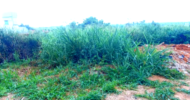 Terreno com 1.431m² em Rio Branco/AC