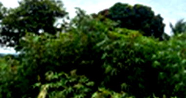 Terreno de 570m² em pólo turístico, oportunidade de expansão urbana