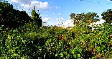 Terreno amplo de 183,6 m², ideal para construção