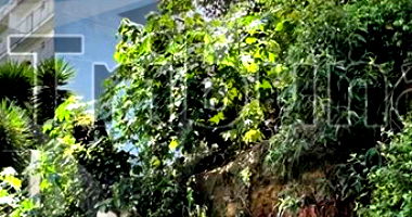 Terreno com 502m² em São Paulo