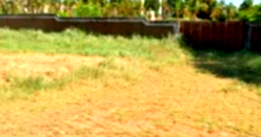 Terreno em Leme com Potencial de Valorização