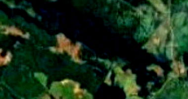 Área Rural com 298.300m² em Ponte Serrada