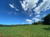 Fração Ideal de 25% de Terreno com Reserva de Mata Ciliar