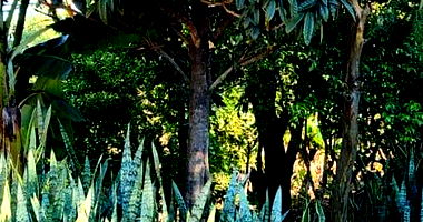 Terreno Urbano com 322,44 m² em Realeza/PR