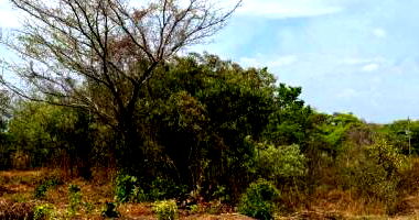 Terreno com 521,44 m² em Araguacema/TO