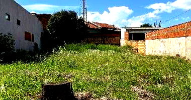 Terreno amplo sem área privativa, sem quartos e banheiros