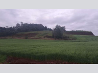 Terreno Rural 51.350m² - Capitão Leônidas Marques/PR