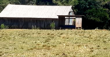 Terreno com 4has.33as.12cas.05mas em Santo Antonio das Missões-RS