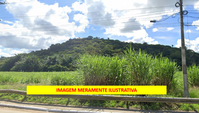 Área de 3ha às margens da BR 101 em Palmares/PE