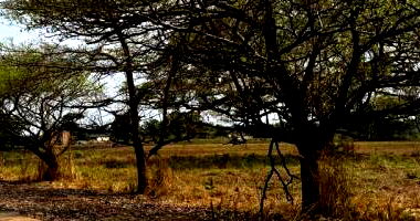 Terreno com 401,86 m² em Araguacema/TO