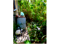 Terreno de 400m² com edificação de 30m² em Brasília/DF