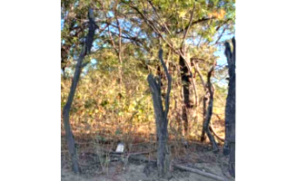 Fazenda e Sítio em Leilão Judicial na Bahia