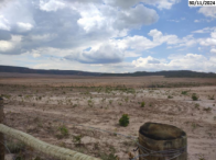 Fazenda com 250,96 hectares para investimento rural em Dianópolis/TO